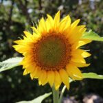 Platzhalter für Foto / Team